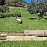 Gospodarstwo wiejskie Casa Degli Ulivi *