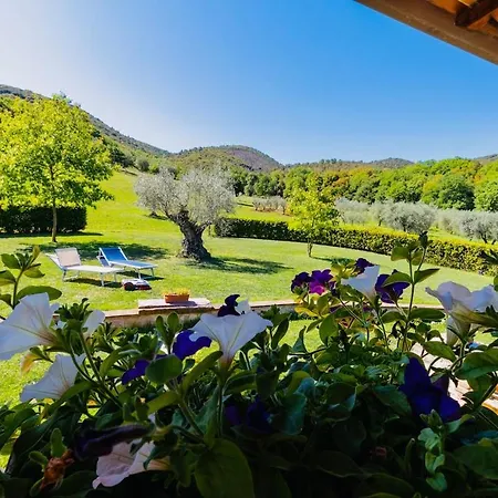 Casa de Campo Casa Degli Ulivi *