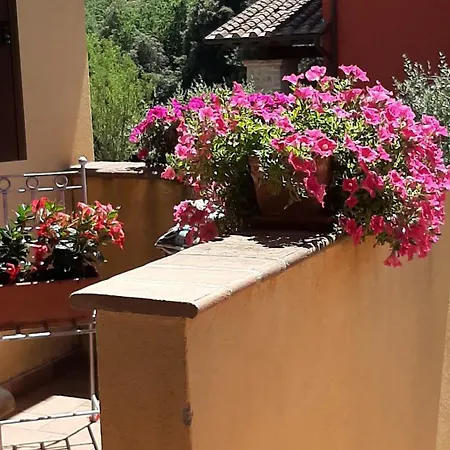 Casa Degli Ulivi