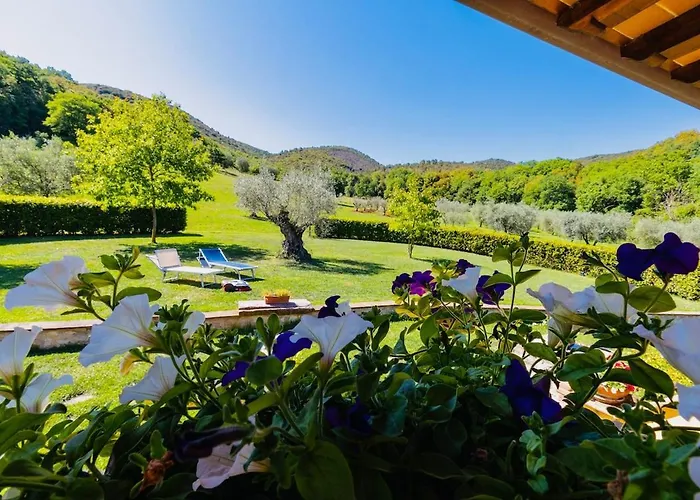 Casa di campagna Casa Degli Ulivi *